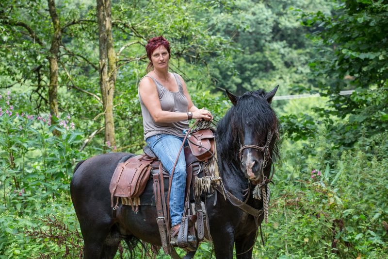 Equitation western dans la forêt bavaroise