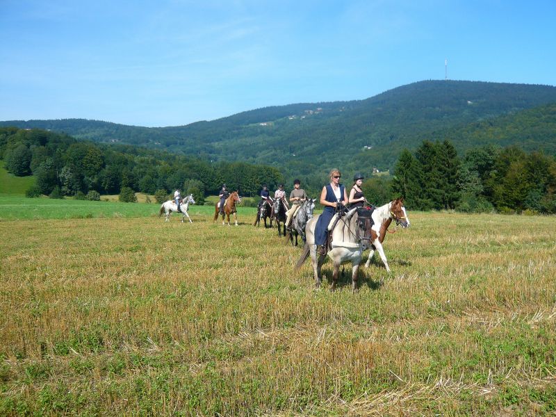 Equitation western dans la forêt bavaroise