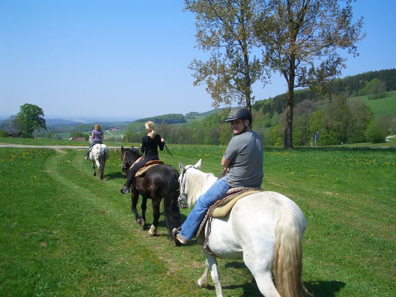 Equitation western dans la forêt bavaroise