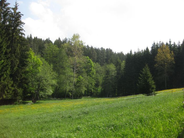 Ecurie familiale dans le sud de la Forêt-Noire