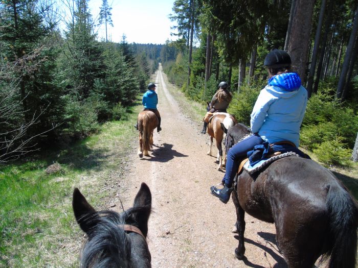 Ecurie familiale dans le sud de la Forêt-Noire