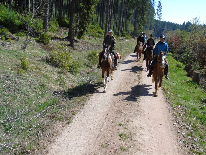 Ecurie familiale dans le sud de la Forêt-Noire