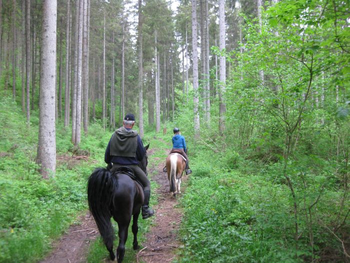 Ecurie familiale dans le sud de la Forêt-Noire
