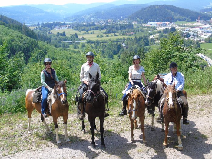 Ecurie familiale dans le sud de la Forêt-Noire
