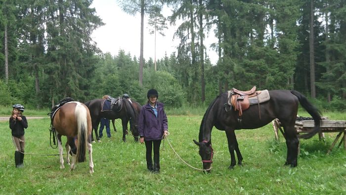 Ecurie familiale dans le sud de la Forêt-Noire