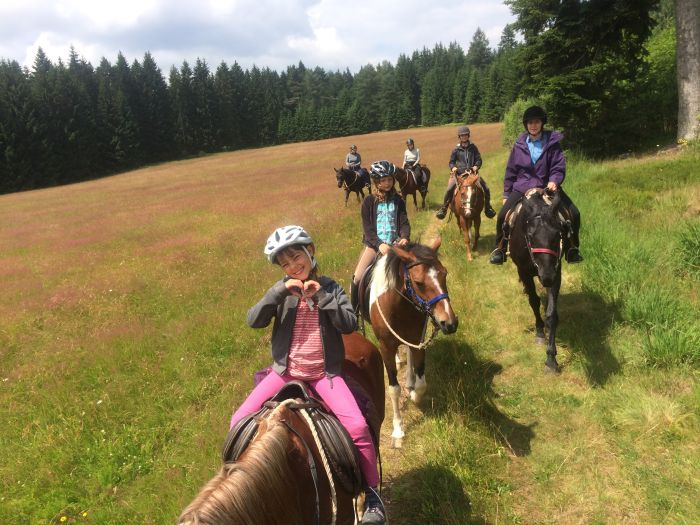 Ecurie familiale dans le sud de la Forêt-Noire