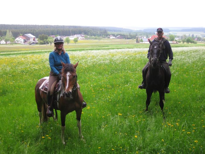 Ecurie familiale dans le sud de la Forêt-Noire