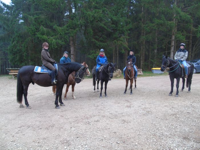 Ecurie familiale dans le sud de la Forêt-Noire