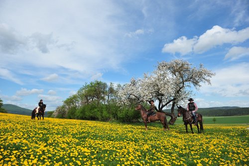 Vacances western dans le Rhön