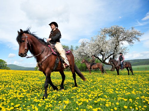 Vacances western dans le Rhön