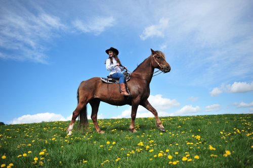 Vacances western dans le Rhön