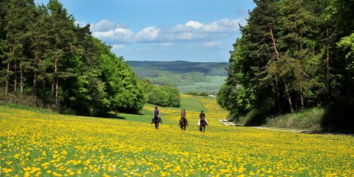 Vacances western dans le Rhön