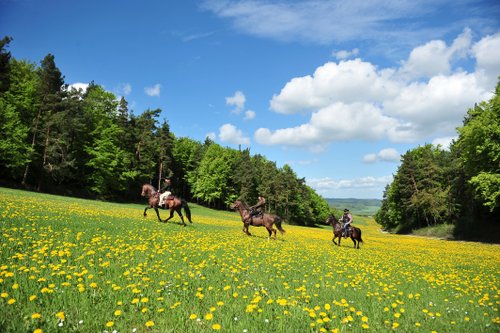 Vacances western dans le Rhön