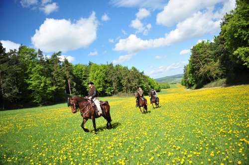 Vacances western dans le Rhön