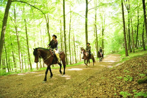 Vacances western dans le Rhön