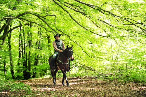 Vacances western dans le Rhön