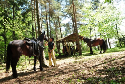 Vacances western dans le Rhön