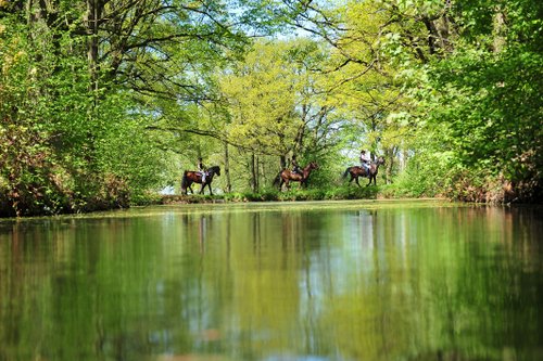 Vacances western dans le Rhön