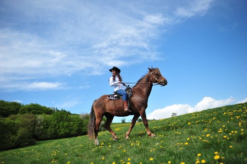 Vacances western dans le Rhön