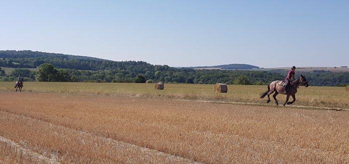 Parc Naturel de Bourgogne
