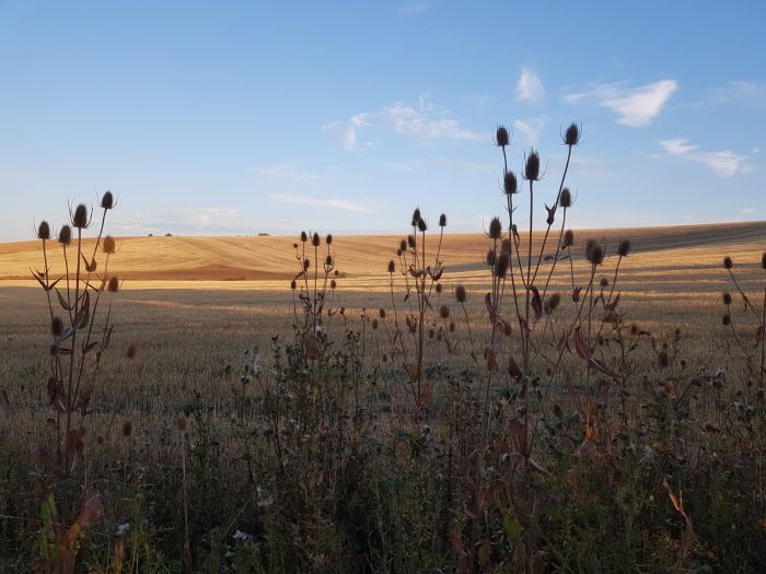Parc Naturel de Bourgogne