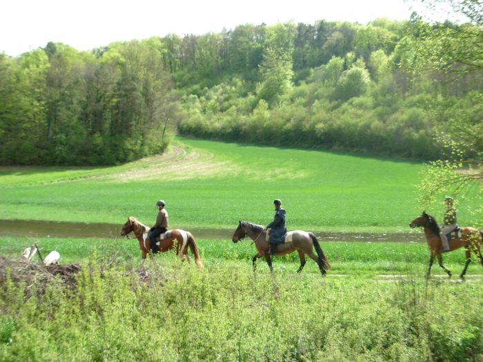 Parc Naturel de Bourgogne