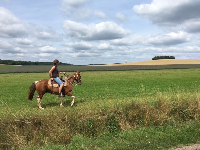 Parc Naturel de Bourgogne