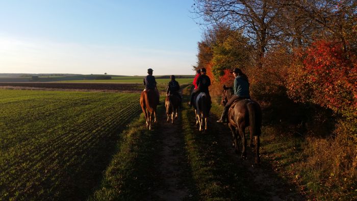 Parc Naturel de Bourgogne