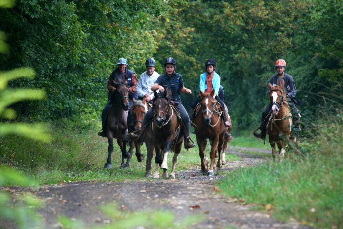 Parc Naturel de Bourgogne