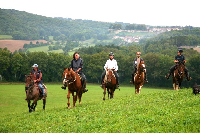 Parc Naturel de Bourgogne