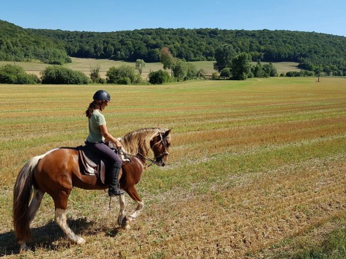 Parc Naturel de Bourgogne