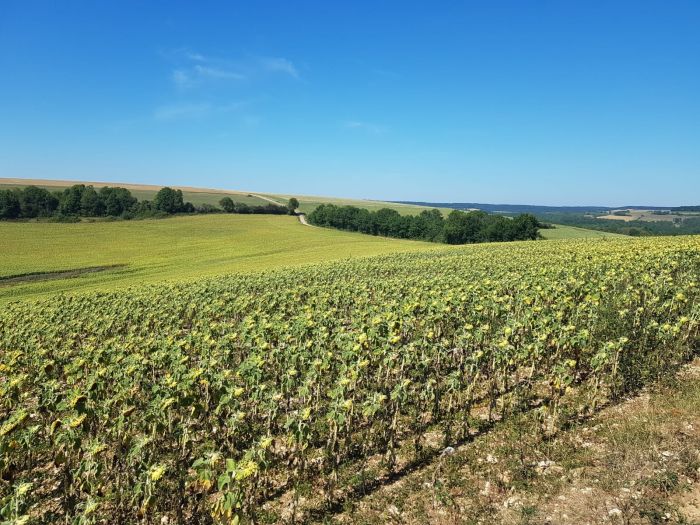 Parc Naturel de Bourgogne