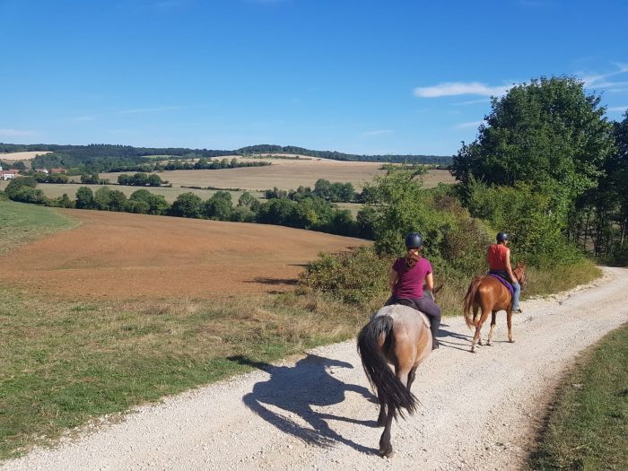 Parc Naturel de Bourgogne