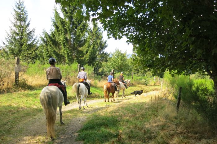 Vacances à cheval dans la belle Alsace