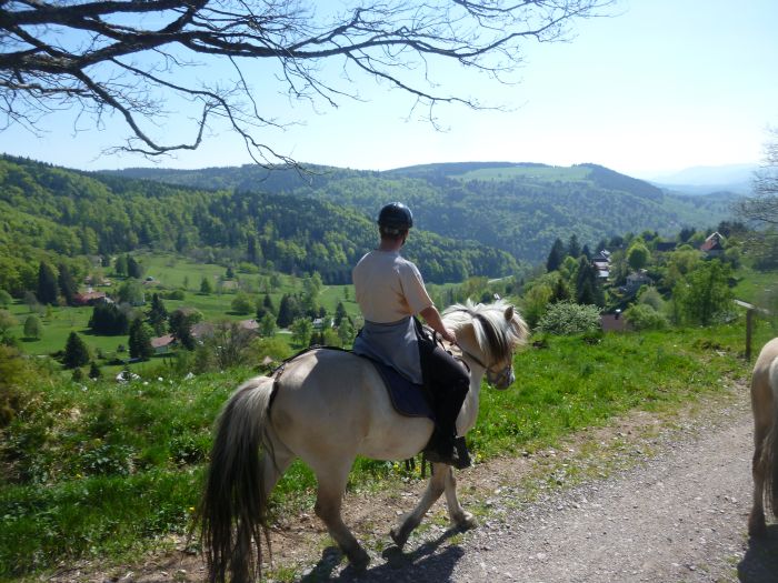 Vacances à cheval dans la belle Alsace