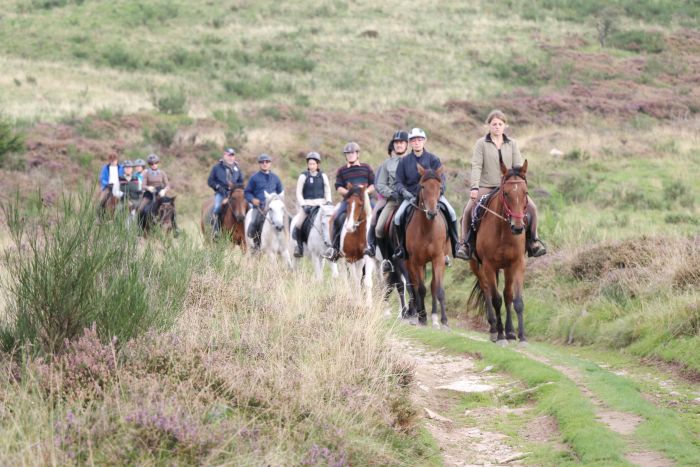 Vacances à cheval dans la belle Alsace