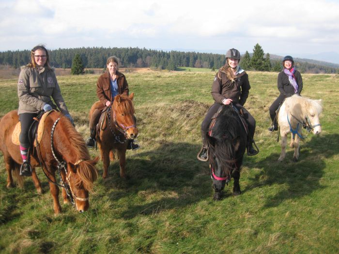 Vacances à cheval dans la belle Alsace