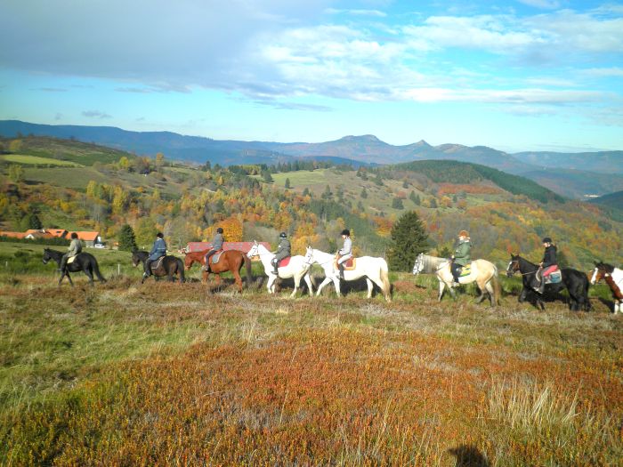 Vacances à cheval dans la belle Alsace