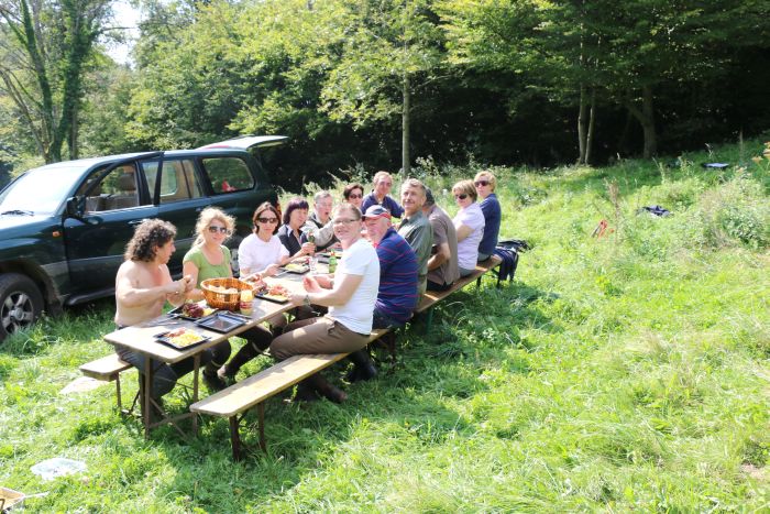 Vacances à cheval dans la belle Alsace