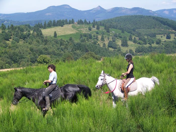 Vacances à cheval dans la belle Alsace