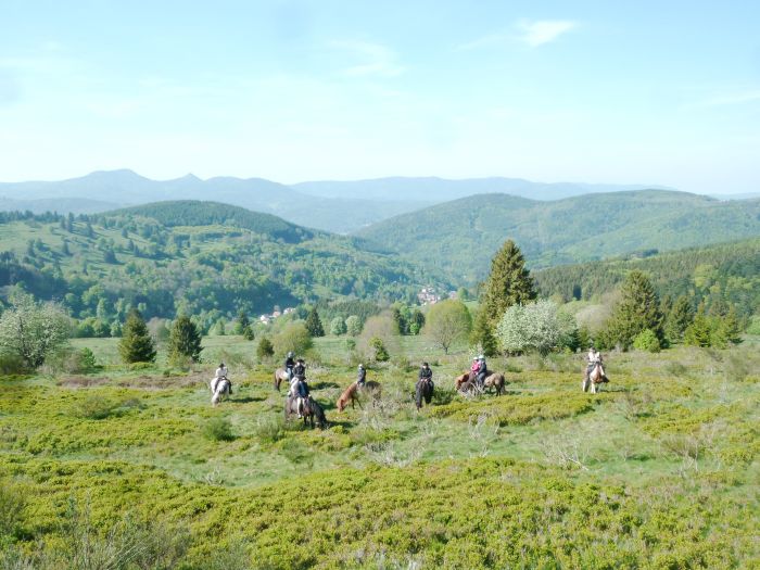 Vacances à cheval dans la belle Alsace