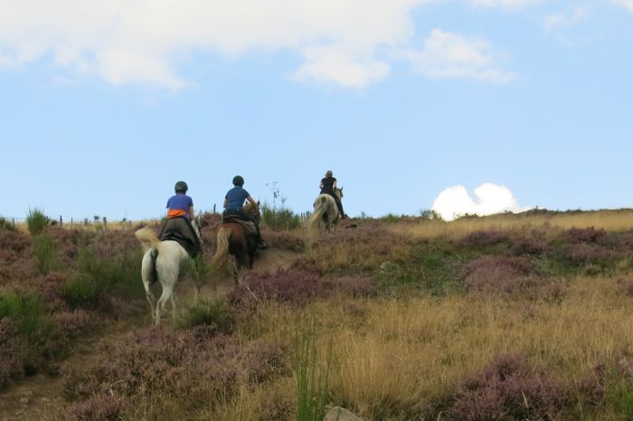 Vacances à cheval dans la belle Alsace