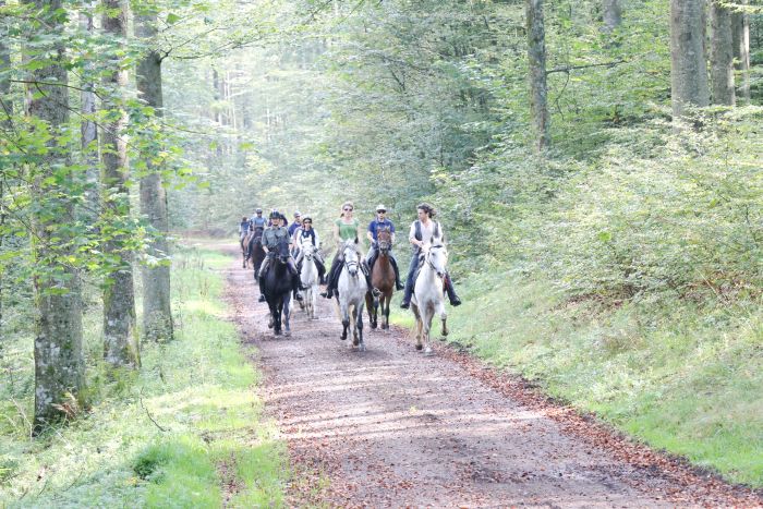 Vacances à cheval dans la belle Alsace