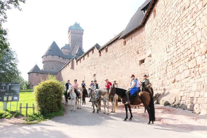 Vacances à cheval dans la belle Alsace