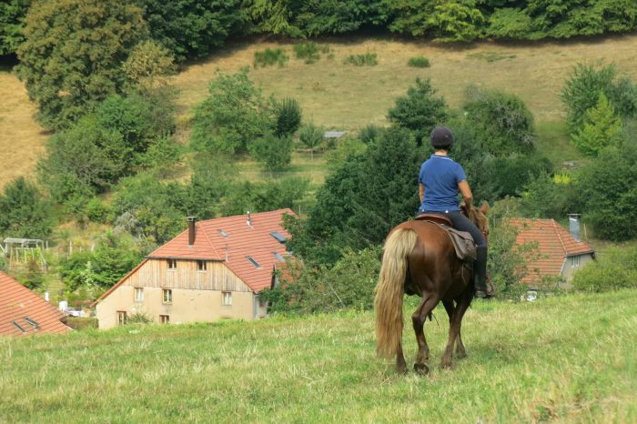 Vacances à cheval dans la belle Alsace