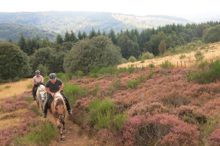 Vacances à cheval dans la belle Alsace