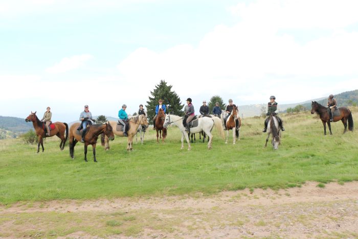 Vacances à cheval dans la belle Alsace