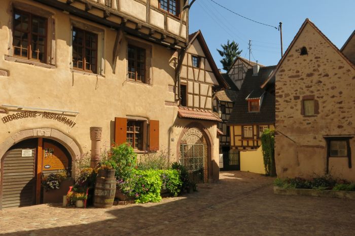 Vacances à cheval dans la belle Alsace