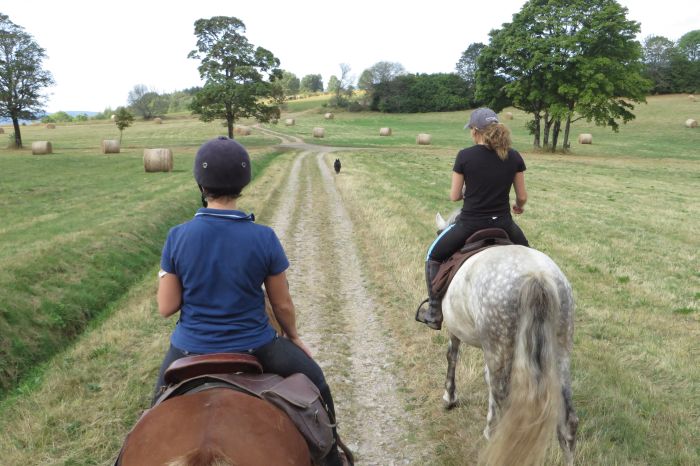 Vacances à cheval dans la belle Alsace