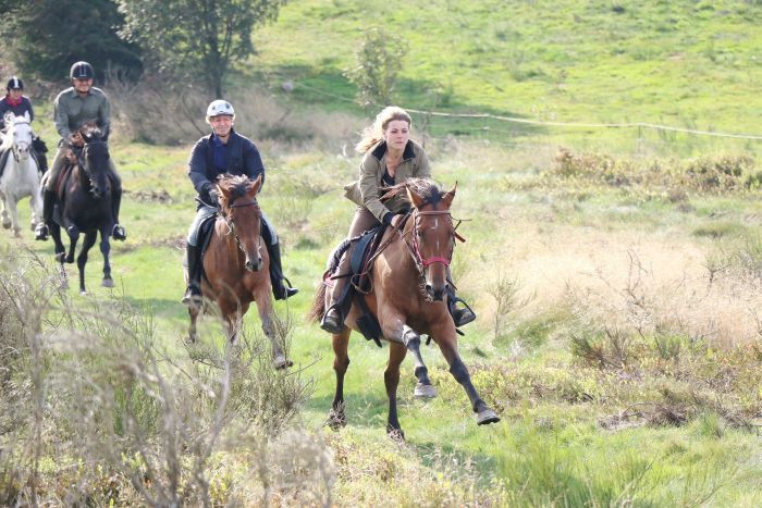 Vacances à cheval dans la belle Alsace